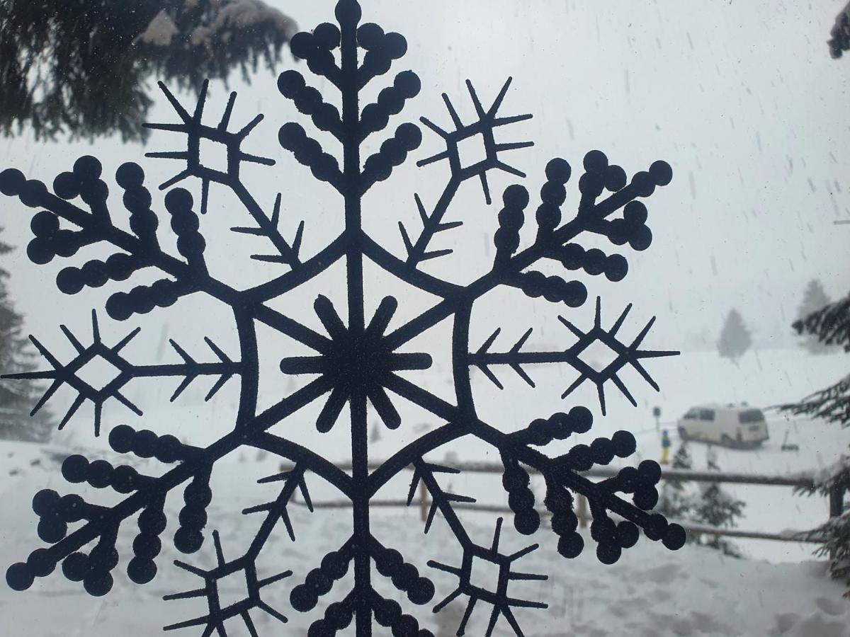 Chalet The Best View Vlasic