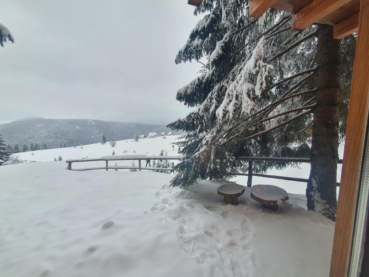 Chalet The Best View Vlasic