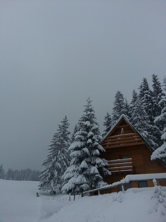 Chalet The Best View Chalet