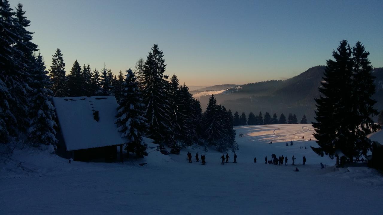 Chalet Chalet The Best View Vlasic