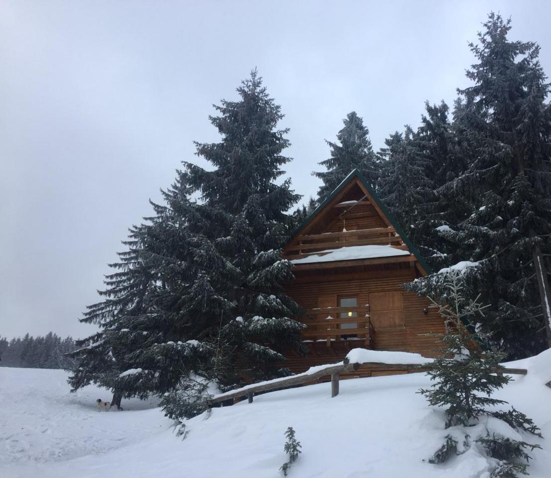 Chalet The Best View Vlasic
